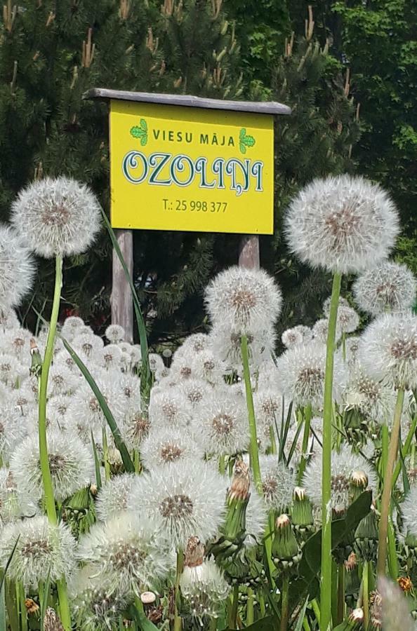 Viesu Maja "Ozolini" Villa ยูรคาลเน ภายนอก รูปภาพ